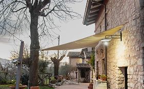 Il giardino dei mandorli